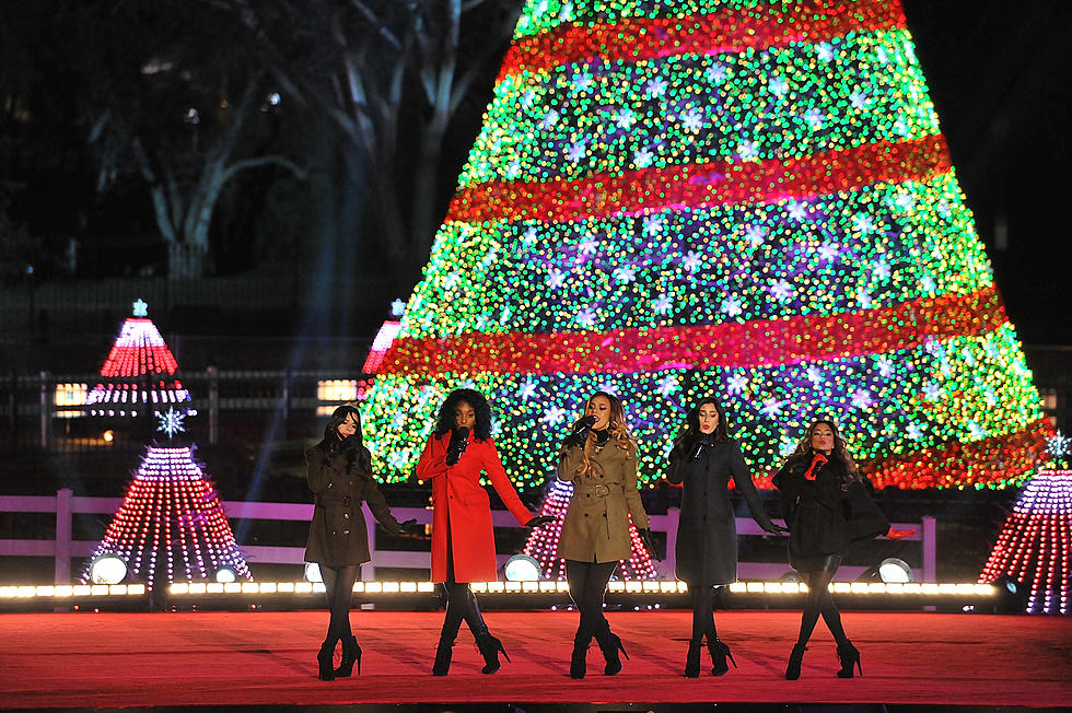 Visit the Winter Wonderland of Christmas Trees for free