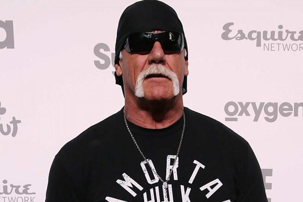 Hulk Hogan's Alleged Racism Is Ruining His Life