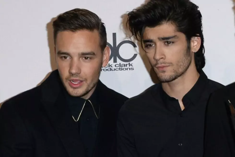 Liam Payne: &#8216;One Direction was Never Zayn&#8217;s Sort of Music&#8217;