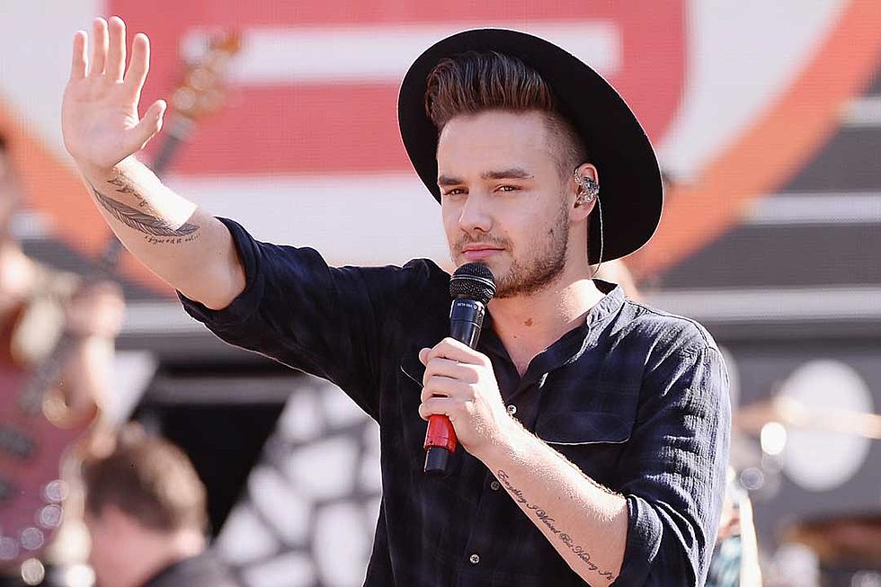 Liam Payne Admits to Partying Too Hard, Says Larry Isn't Real