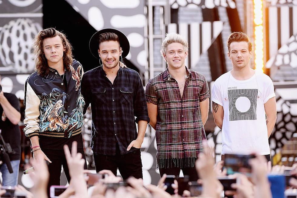 One Direction Take a Chance on Love With ‘End of the Day’