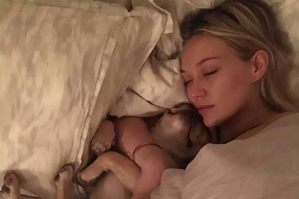 Hilary Duff Shares Sad Obit for Beau, Her French Bulldog