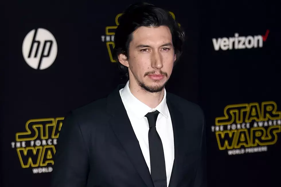 Someone Adopted That Cat That Looks Like Adam Driver