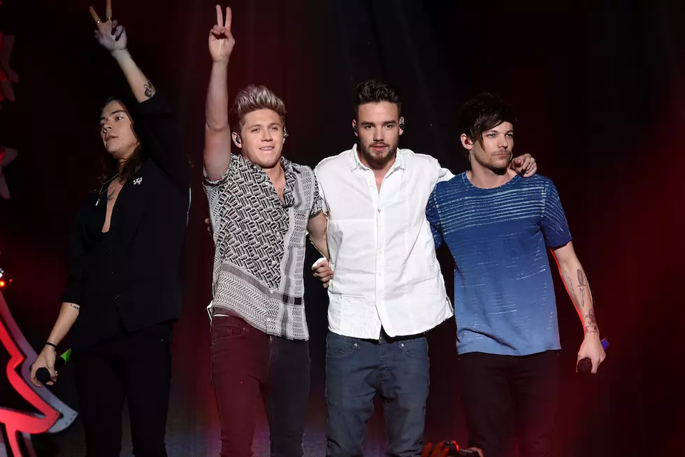 Poll: Which One Direction Member Should Go Solo Next?