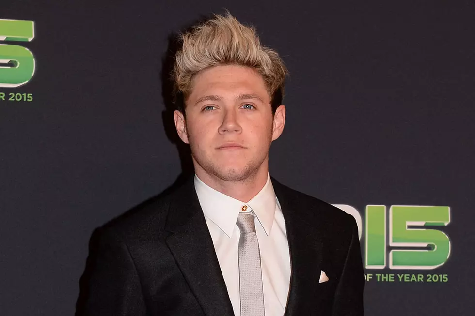 Niall Horan Preps Solo Career With New Label & Producer