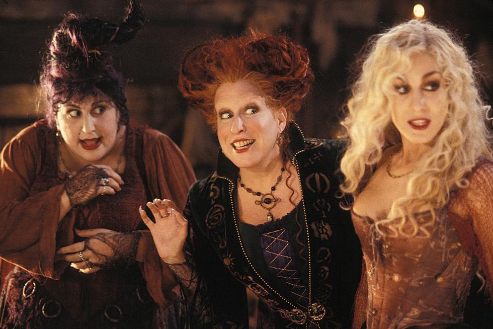 Hocus Pocus Witches in Parody