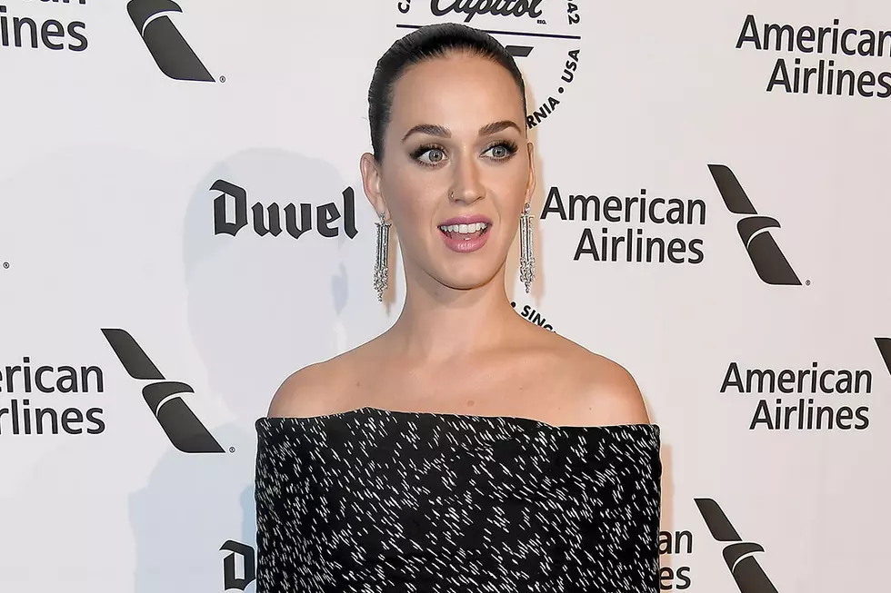 Katy Perry Shares Message of Support for Standing Rock Sioux Tribe