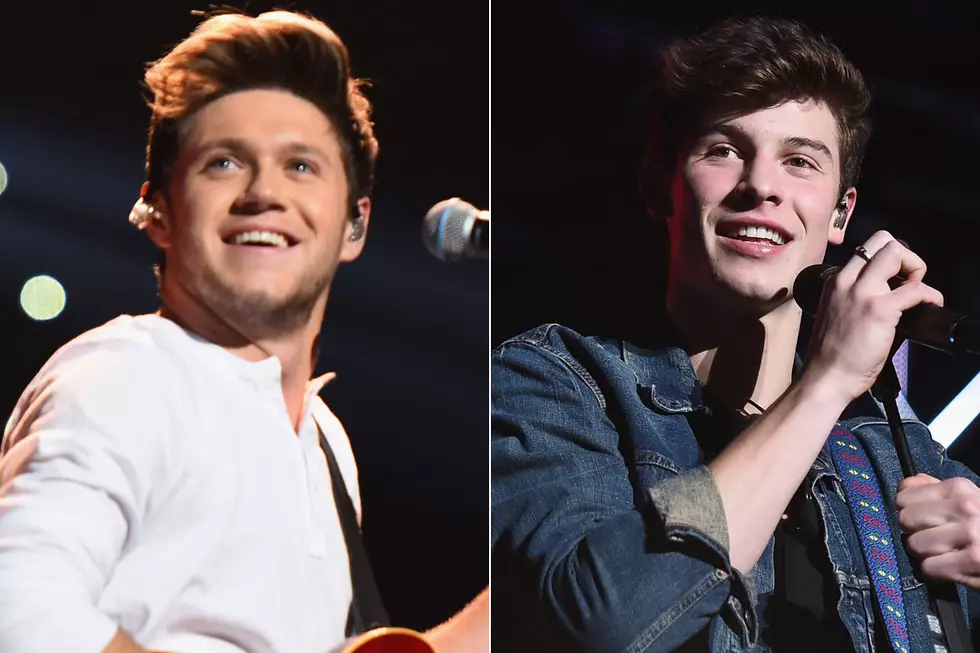 Shawn Mendes + Niall Horan Already Making Waves in 2017, Enter Billboard Hot 100 Top 20