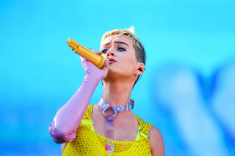 Katy Perry Offers Fans Exclusive &#8216;Witness&#8217; Reveal Ahead of Album Drop