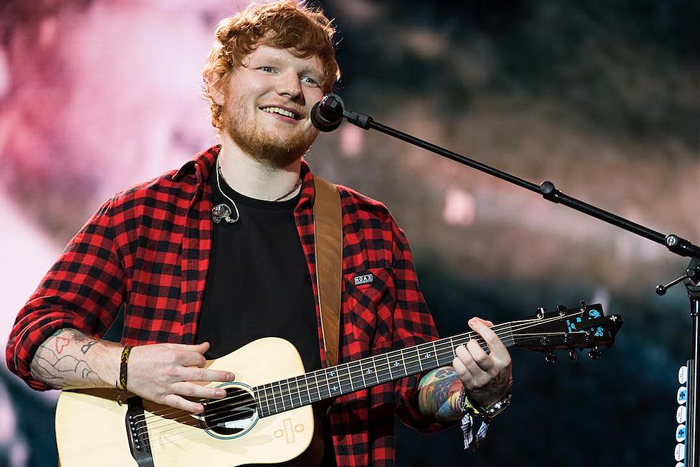 Ed Sheeran Acknowledges Grammy Wins With Cute Kitty Photo on Instagram