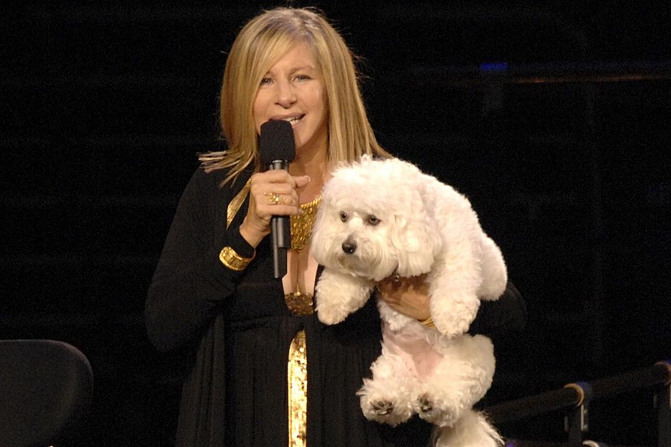 Of Course Barbra Streisand Had Her Dog Cloned