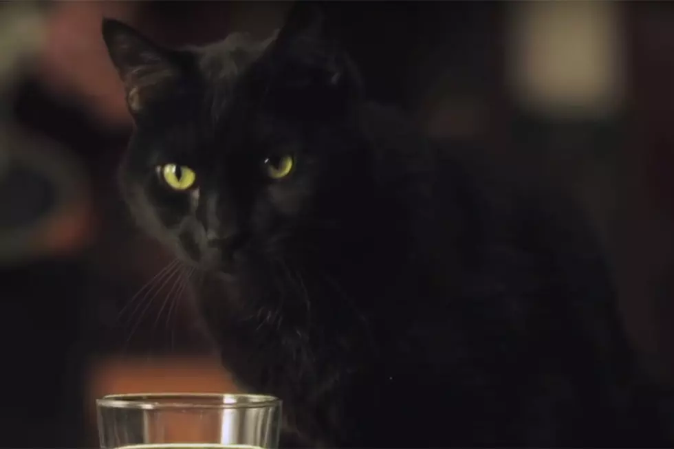 Here&#8217;s Your First Look at Salem the Cat from Netflix&#8217;s &#8216;Sabrina&#8217; Reboot