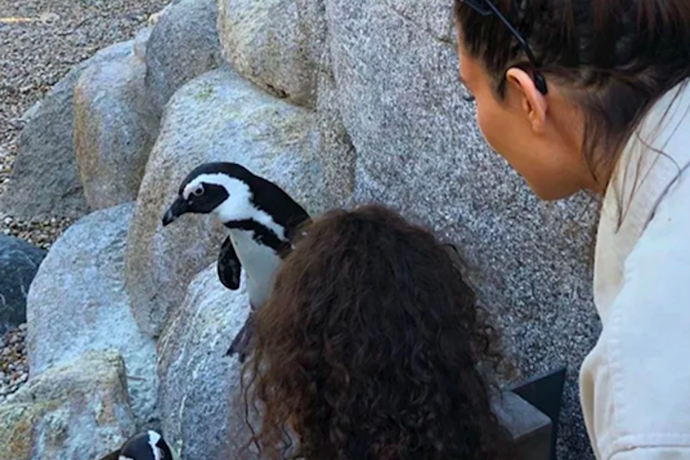 Kim Kardashian and Rare Smiling Kanye West Take Family Trip to the Zoo (PHOTOS)