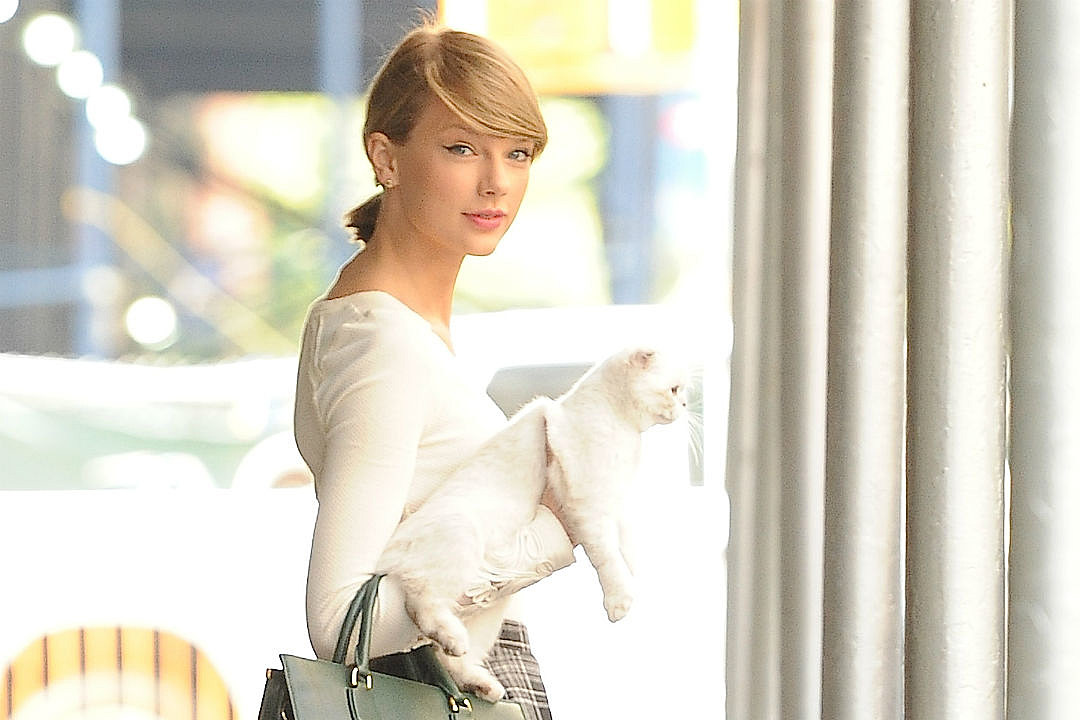 Taylor Swift, Queen of Felines, to Star in 'Cats' Film Adaptation