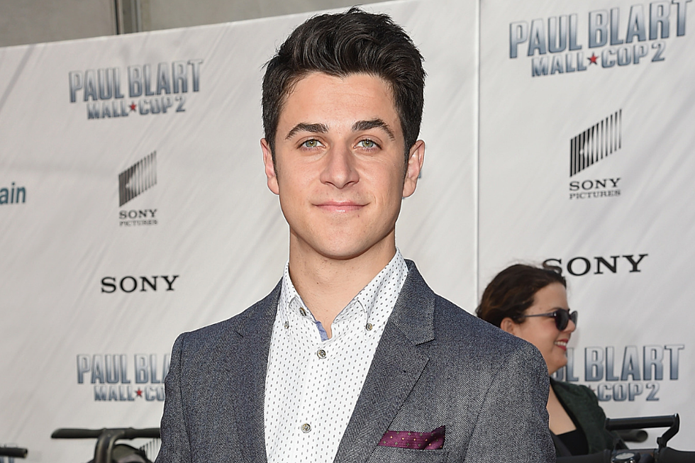 Disney Star David Henrie Arrested for Bringing Gun to the Airport