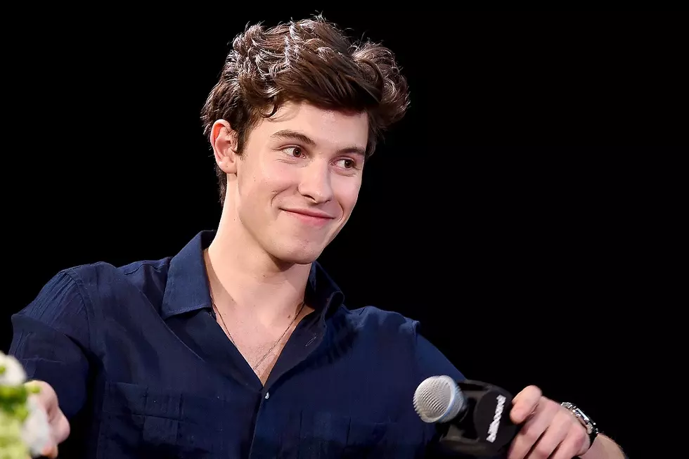Shawn Mendes Said "Uffda" at MN Show, & the Crowd Went Nuts