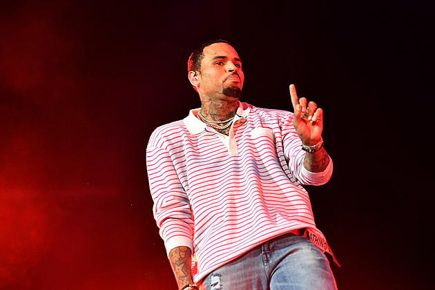 Chris Brown Facing 6 Months Jail Time for Unlawful Possession of a Capuchin Monkey