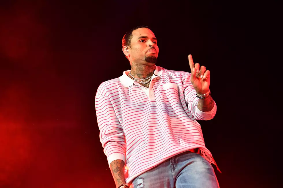 Chris Brown Facing Jail Time Over Pet Money