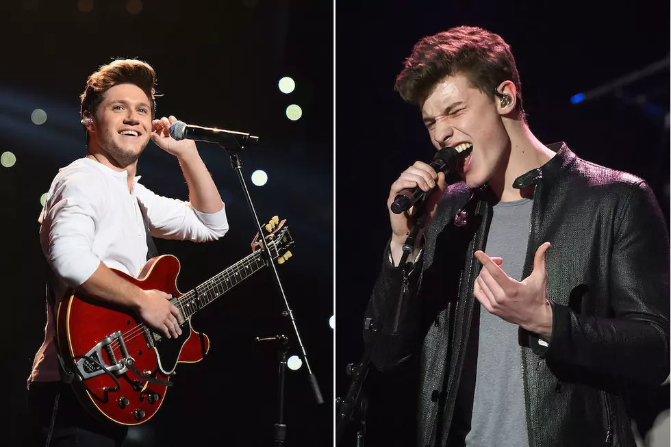 Hold Up! Are Shawn Mendes and Niall Horan Collaborating Together?