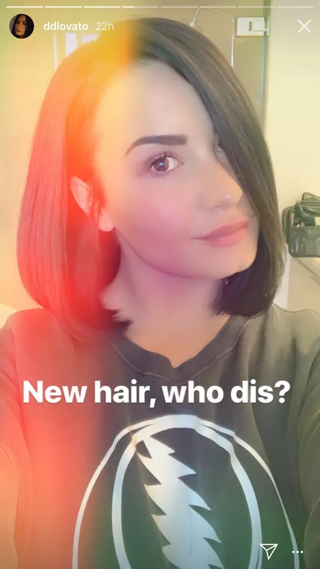 Demi Lovato Chopped Her Hair Into A Short Bob