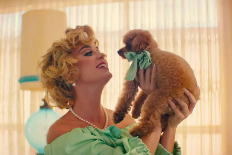 Katy Perry’s ‘Small Talk’ Music Video Is a Dog Lover’s Dream: Watch