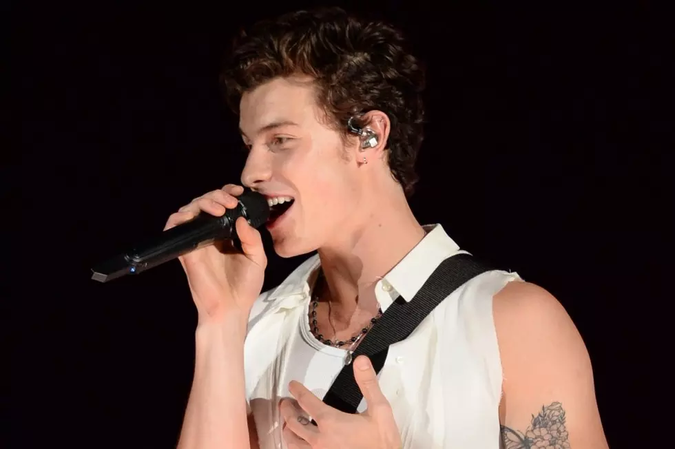 Shawn Mendes Protests Climate Change Mid-Concert: Watch