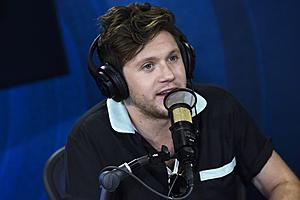 Niall Horan Speaks out About Cyber Abuse Aimed at Female Artists