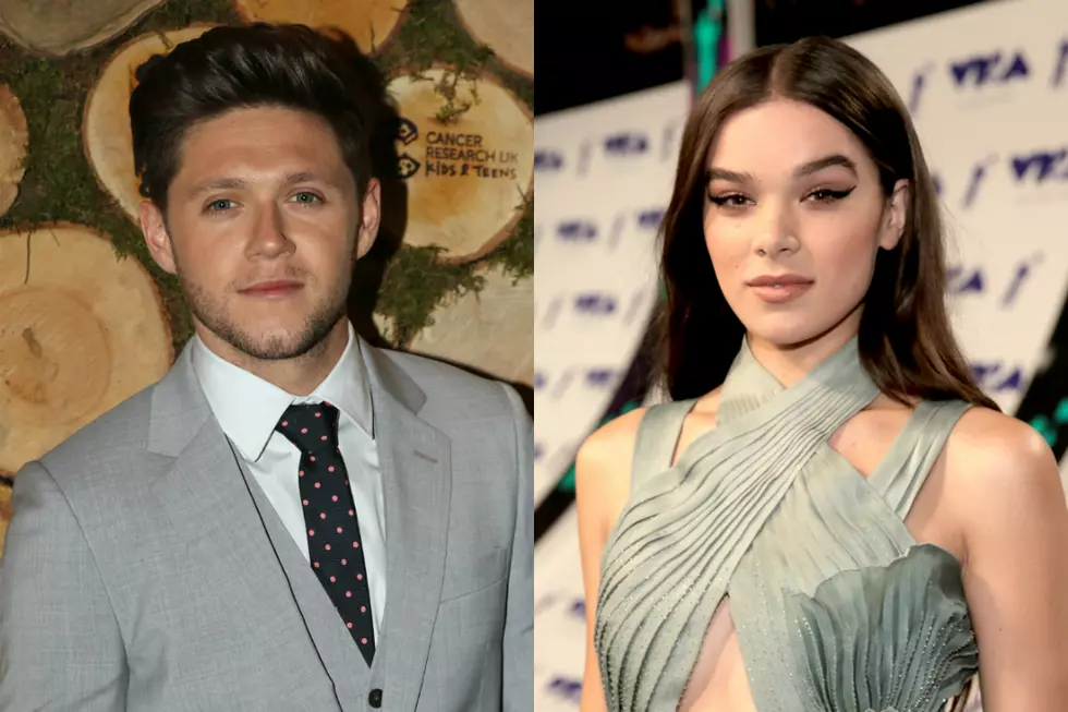 Did Niall Horan Cheat on Hailee Steinfeld?