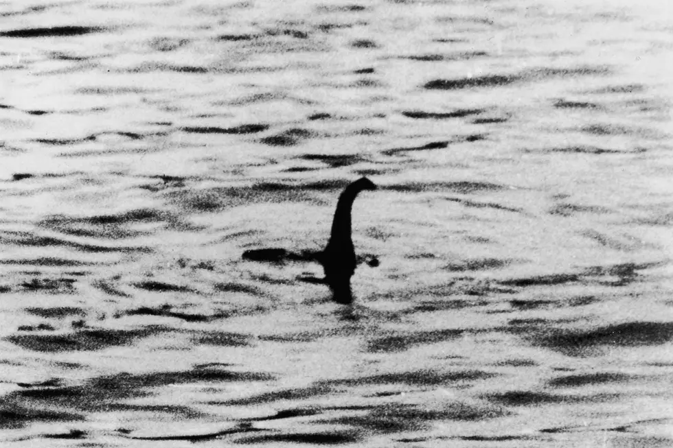 Loch Ness Monster Reportedly Spotted By Retired Firefighter 