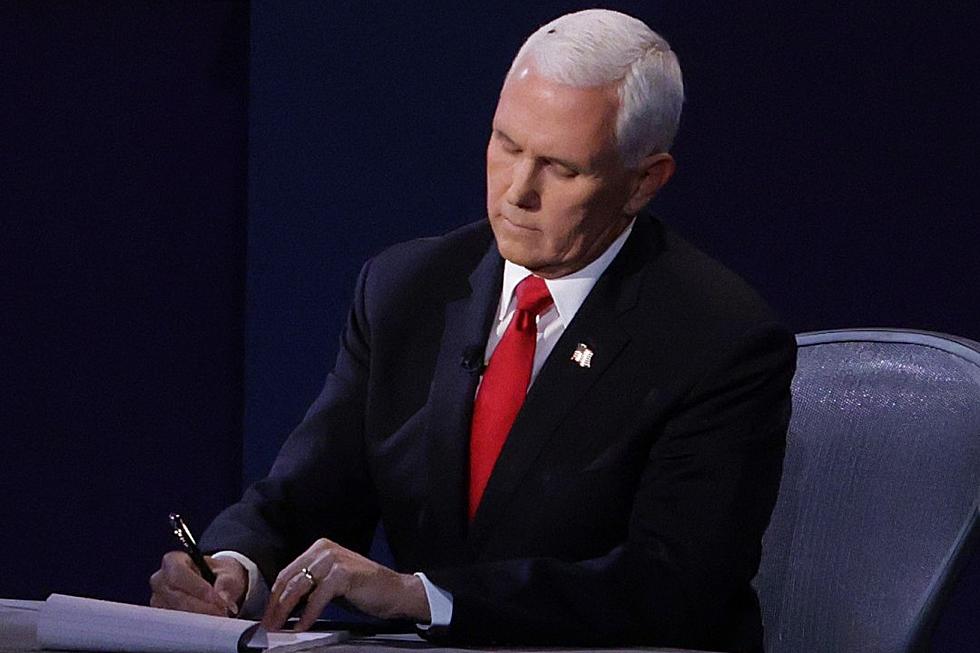  Fly Lands on Pence's Head During 2020 VP Debate