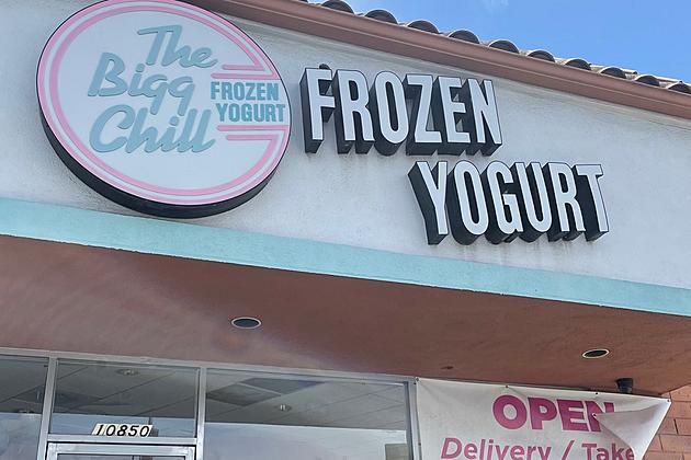 I Tried the Frozen Yogurt Demi Lovato Was So Mad About – Here’s How it Tasted