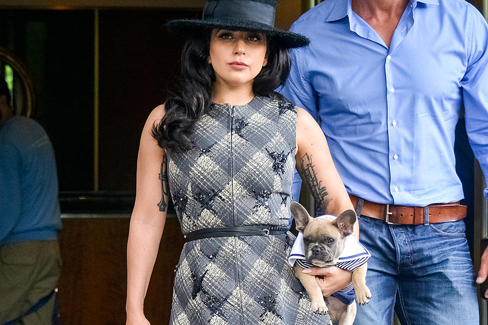 Lady Gaga’s Dog Walker Asking for Donations After Van Breaks Down During Road Trip