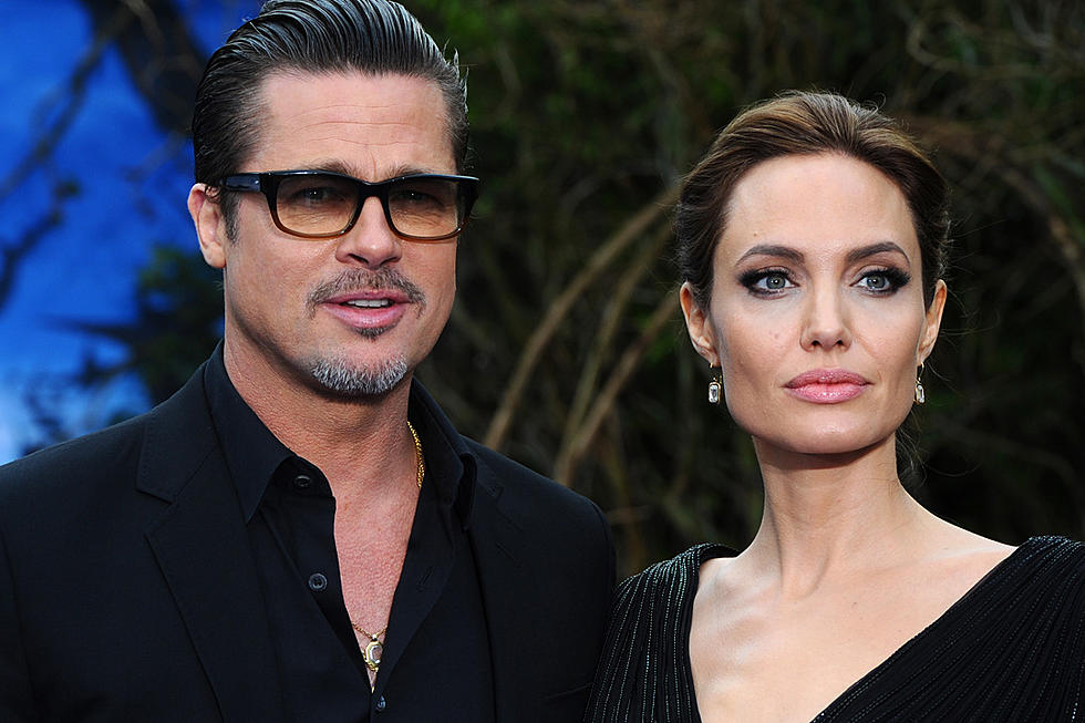 Brad Pitt Wants the California Supreme Court to Review His Custody Case With Angelina Jolie
