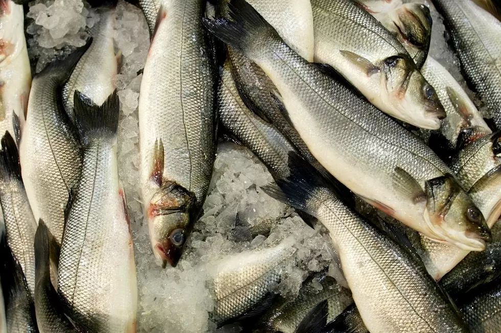 Texas Town Experiences Strange Phenomenon of Fish Raining From the Sky