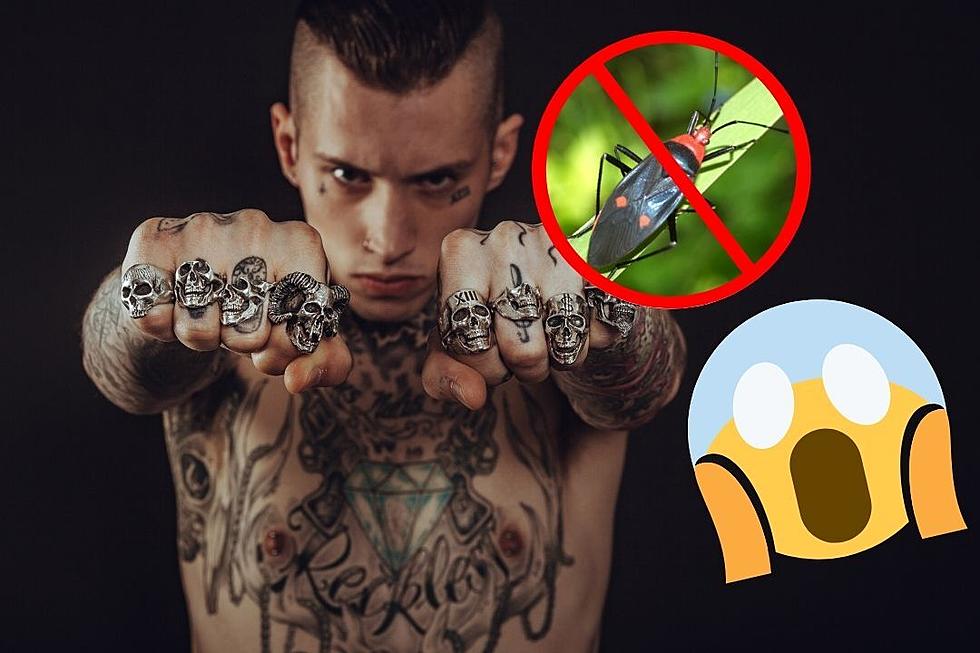 Man With Guinness World Record-Breaking 864 Insect Tattoos Actually Hates Bugs