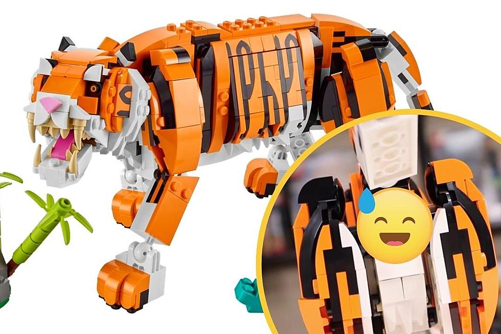 This LEGO Tiger Has a Butthole and It’s Hilariously Anatomically Correct