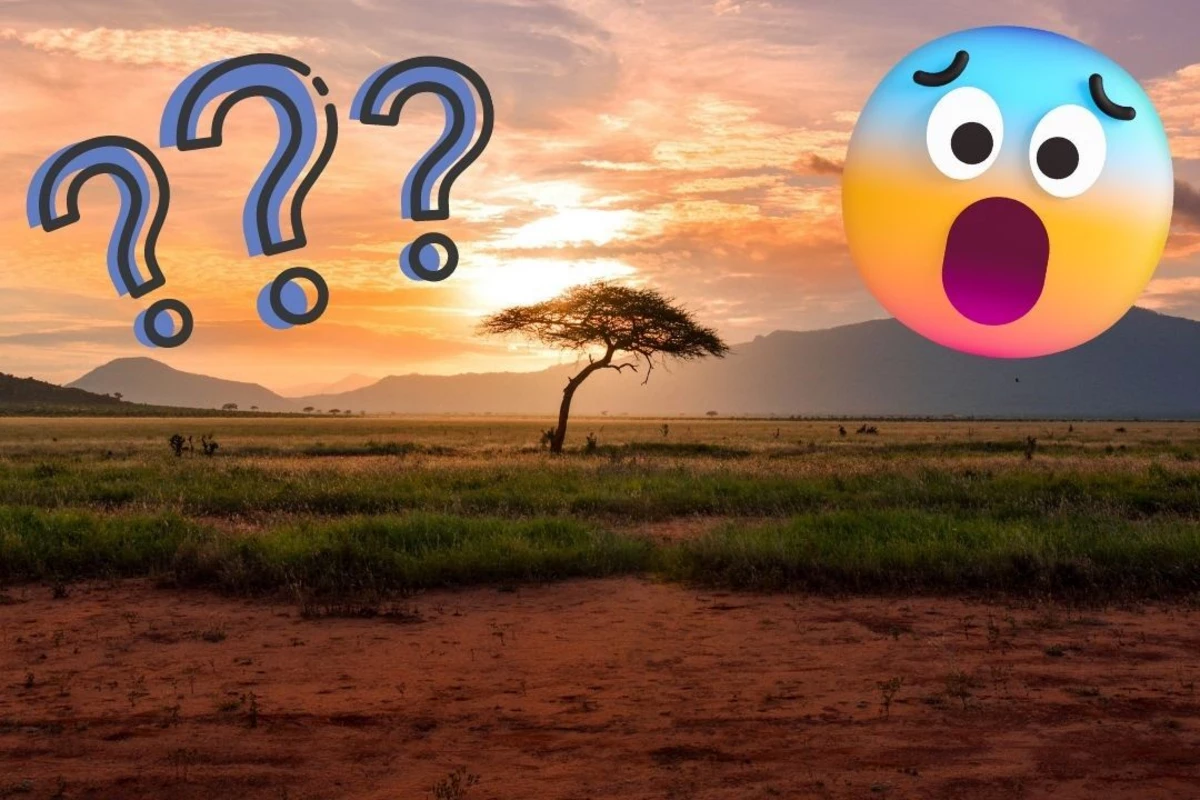 What Is The African Blob what-is-the-african-blob