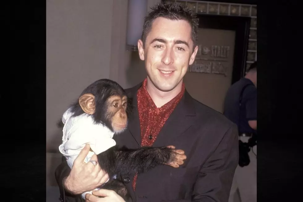 Alan Cumming Offers $10K Reward to Find Missing Chimp