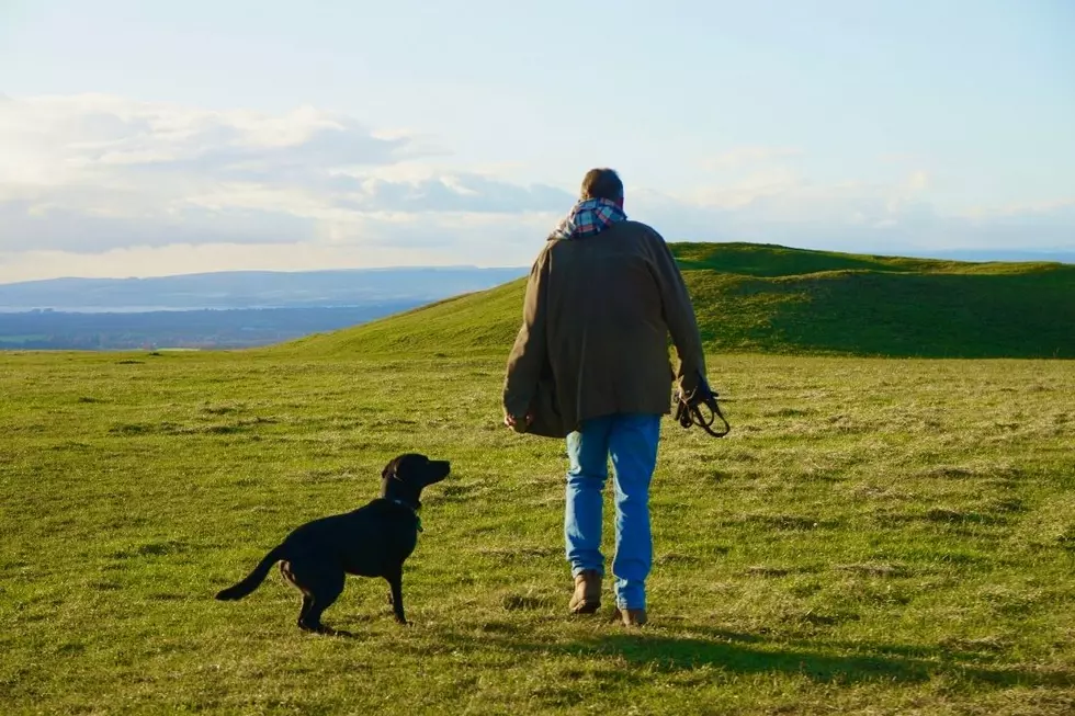 Elderly Man Finds Reason to Live Again After Dog Sitting 