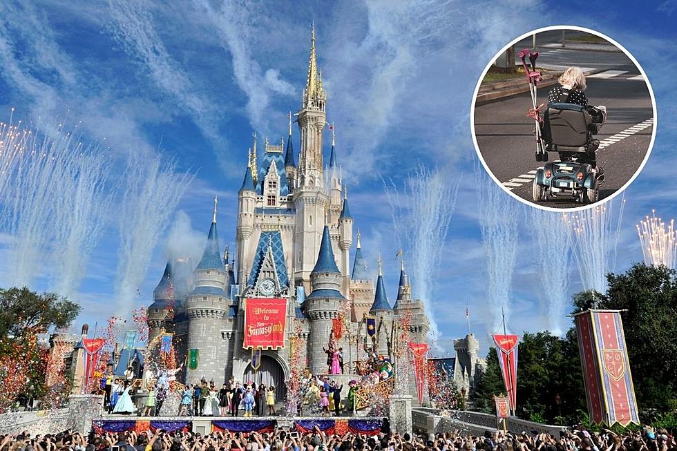 Disney Theme Park Guest Suing for $30,000 After Another Guest Rams Them With Scooter