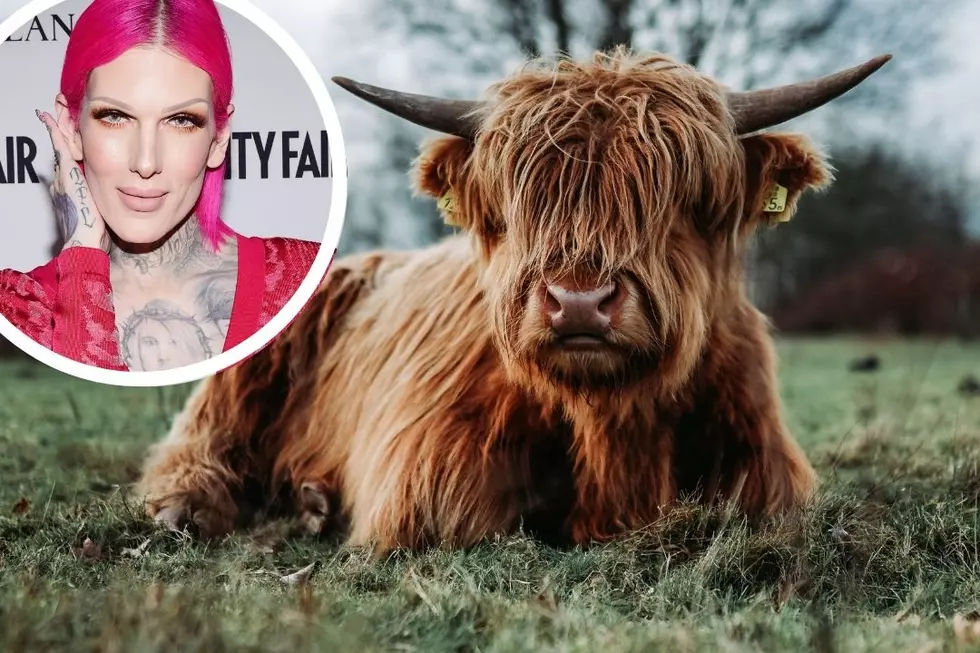 Jeffree Star Launching Online Yak Meat Shop