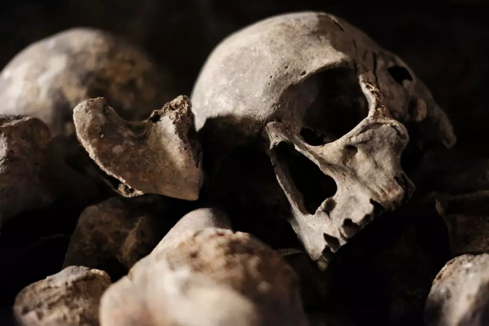 Police Confused After Finding 150 'Crime Scene' Skulls 