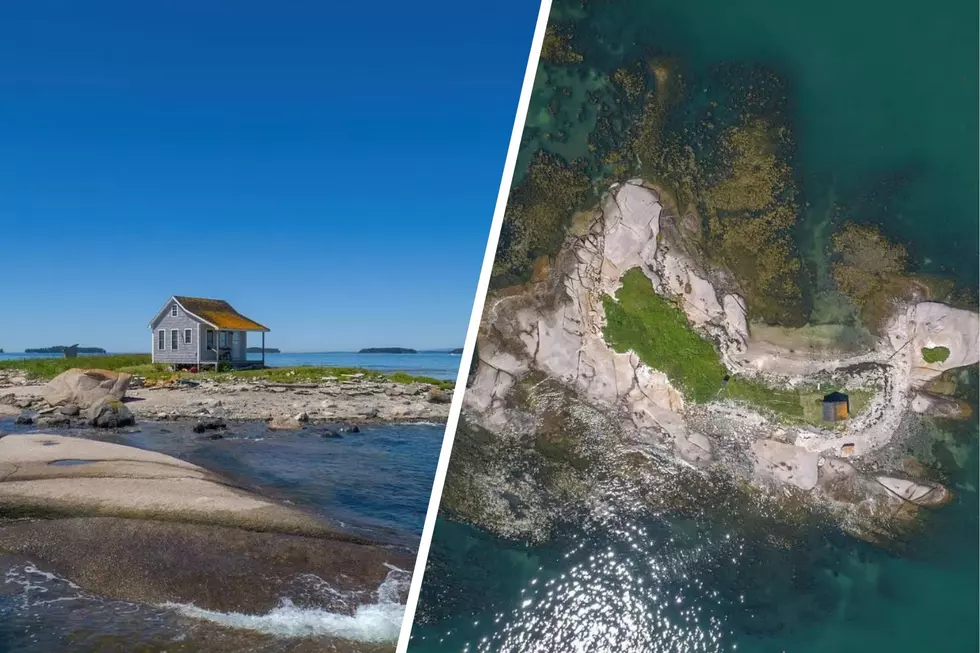 This One-Bedroom Home on a Deserted Island Is an Introvert’s Paradise (PHOTOS)