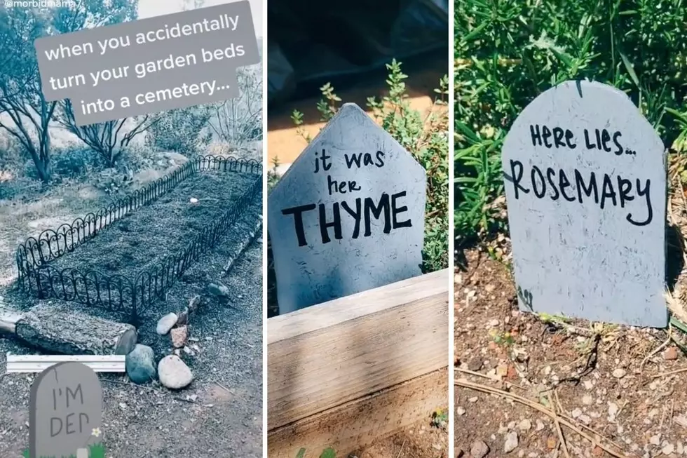 Woman’s ‘Goth Garden’ Cemetery Is a Macabre Hit on TikTok (VIDEO)