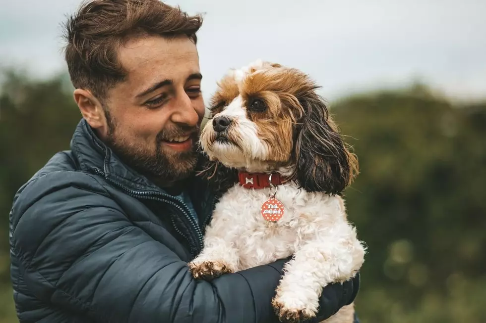 Here’s The Most Common Way Texans Show Their Pets Affection