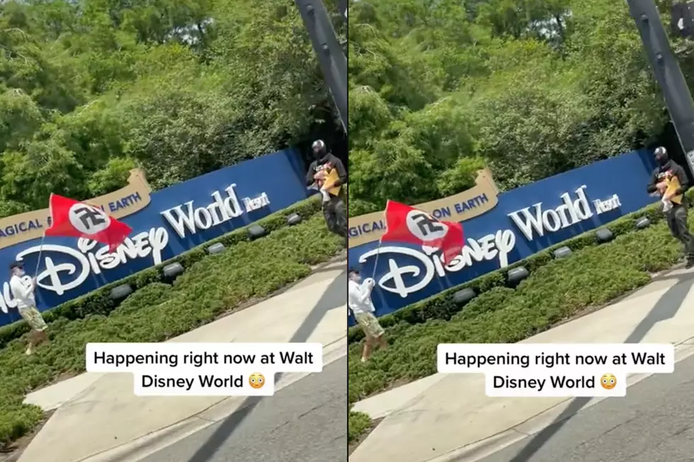 Nazi Flags Waved During Protest at Entrance to Disney World (VIDEO)