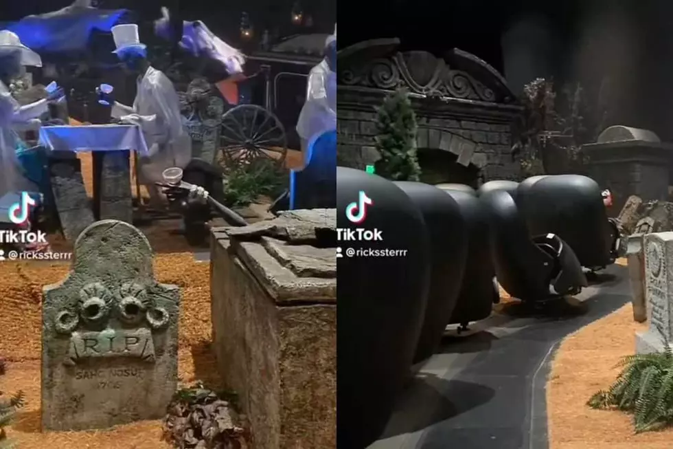 Disneyland Guests Evacuated Through Graveyard After Haunted Mansion Breaks Down: WATCH