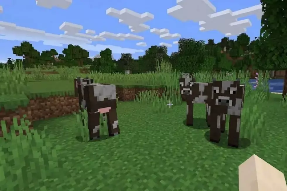 5-Year-Old&#8217;s Minecraft Cow Prank on 7-Year-Old Brother Proves Family Can Be a Menace