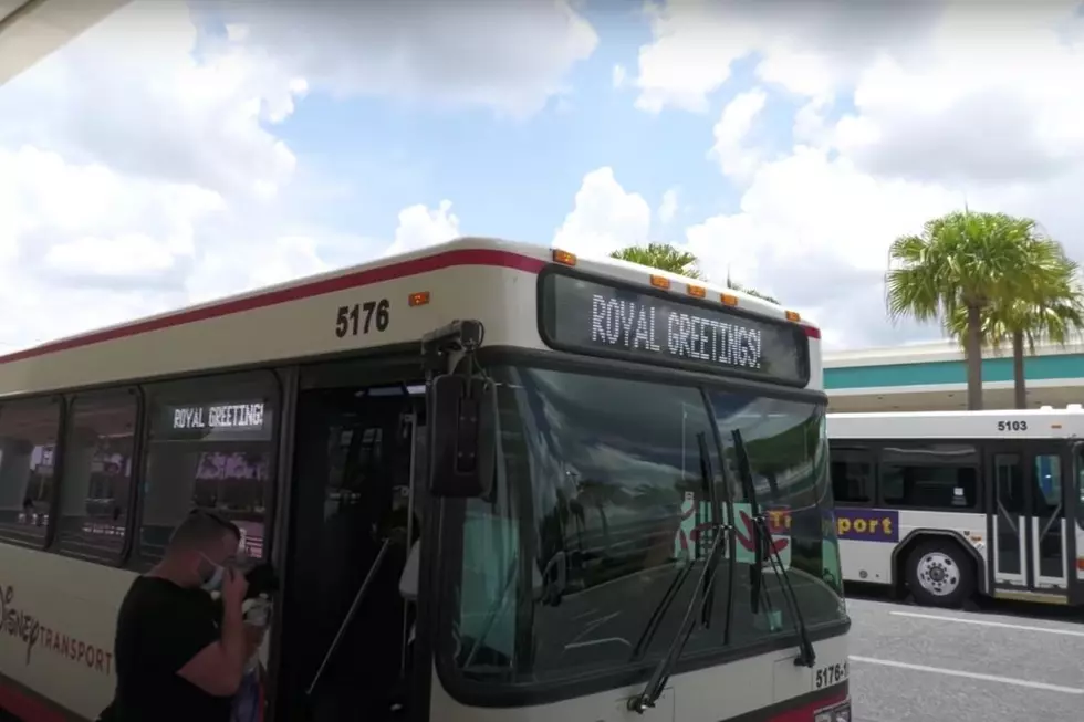 Disney World Guest ‘In Shock’ After Allegedly Witnessing Bus Hit Cast Member