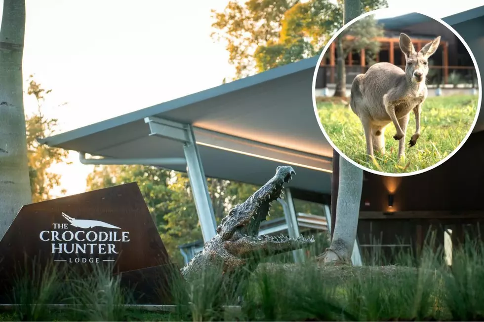 Inside Australia Zoo's The Crocodile Hunter Lodge (PICS)